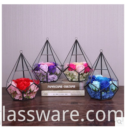 Shape Glass Plants Terrarium 